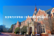 东北电力大学专业（东北电力大学专业排名）