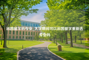 出国留学转专业_大学期间可以出国留学重新选专业吗