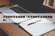 大学院校学业成绩表（大学院校学业成绩表图片）