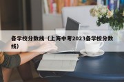 各学校分数线（上海中考2023各学校分数线）