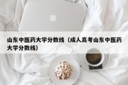 山东中医药大学分数线（成人高考山东中医药大学分数线）