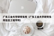 广东工业大学研究生院（广东工业大学研究生院信息工程学院）