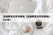 沈阳师范大学分数线（沈阳师范大学分数线2023年）