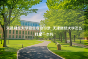 天津财经大学招生专业目录_天津财经大学怎么样是一本吗