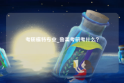 考研模特专业_鲁美考研考什么？