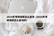 2014年考研成绩怎么查询（2014年考研成绩怎么查询的）