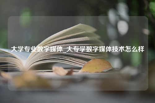 大学专业数字媒体_大专学数字媒体技术怎么样