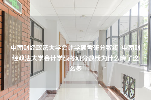 中南财经政法大学会计学硕考研分数线_中南财经政法大学会计学硕考研分数线为什么降了这么多